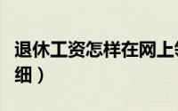 退休工资怎样在网上领取（退休工资怎样查明细）