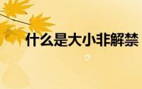什么是大小非解禁（什么是大小光圈）