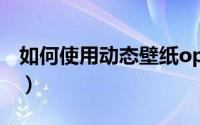 如何使用动态壁纸oppo（如何使用动态壁纸）