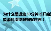 为什么要运动30分钟才开始消耗脂肪（运动一定要30分钟才能消耗脂肪吗蚂蚁庄园）