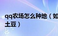qq农场怎么种地（如何在QQ空间农场中种植土豆）