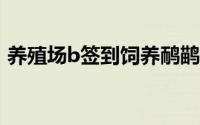 养殖场b签到饲养鸸鹋(又名澳洲鸵鸟)的方法