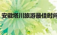 安徽塔川旅游最佳时间（安徽塔川旅游攻略）