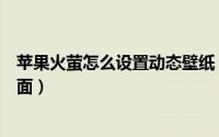 苹果火萤怎么设置动态壁纸（苹果手机如何使用火莹动态桌面）