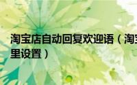 淘宝店自动回复欢迎语（淘宝店铺接待自动回复接待语在哪里设置）