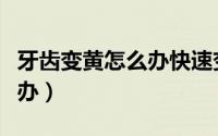 牙齿变黄怎么办快速变白方法（牙齿变黄怎么办）
