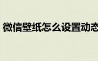 微信壁纸怎么设置动态（微信壁纸怎么设置）