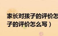 家长对孩子的评价怎么写20个字（家长对孩子的评价怎么写）