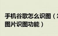 手机谷歌怎么识图（怎样在手机上打开谷歌的图片识图功能）