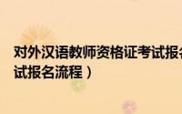 对外汉语教师资格证考试报名入口（对外汉语教师资格证考试报名流程）