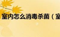 室内怎么消毒杀菌（室内怎么消毒杀菌最好）