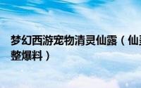 梦幻西游宠物清灵仙露（仙灵传说《梦幻飞仙》极品宠物完整爆料）