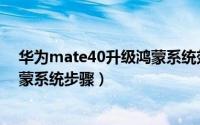 华为mate40升级鸿蒙系统效果如何（华为mate40升级鸿蒙系统步骤）