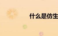 什么是仿生功能性面料