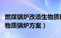燃煤锅炉改造生物质锅炉厂（燃煤锅炉改造生物质锅炉方案）