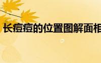 长痘痘的位置图解面相（长痘痘的位置图解）