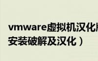 vmware虚拟机汉化版（VMware8.0 虚拟机安装破解及汉化）