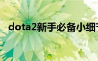 dota2新手必备小细节（dota2新手攻略）
