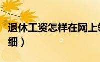 退休工资怎样在网上领取（退休工资怎样查明细）