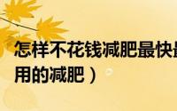 怎样不花钱减肥最快最有效（如何快速无副作用的减肥）