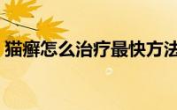 猫癣怎么治疗最快方法（猫癣怎么治疗最快）