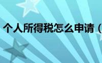 个人所得税怎么申请（个人所得税怎么返钱）