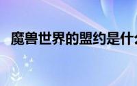 魔兽世界的盟约是什么（魔兽世界的主题）
