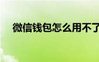 微信钱包怎么用不了（微信钱包怎么用）