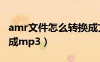amr文件怎么转换成文字（amr文件怎么转换成mp3）