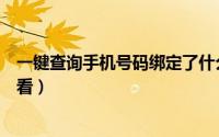 一键查询手机号码绑定了什么（得一策绑定的手机号如何查看）