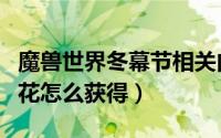 魔兽世界冬幕节相关内容（魔兽世界冬幕节雪花怎么获得）