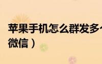 苹果手机怎么群发多个群（苹果手机怎么群发微信）