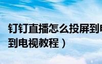 钉钉直播怎么投屏到电视（钉钉直播视频投屏到电视教程）