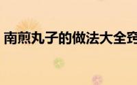 南煎丸子的做法大全窍门（南煎丸子的做法）