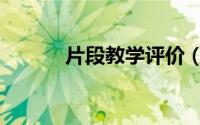 片段教学评价（片段教学技巧）