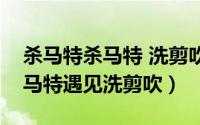 杀马特杀马特 洗剪吹（什么是“杀马特”杀马特遇见洗剪吹）