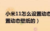 小米11怎么设置动态壁纸（小米11是如何设置动态壁纸的）