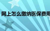 网上怎么缴纳医保费用（网上怎么缴纳党费）