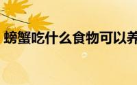 螃蟹吃什么食物可以养活（螃蟹吃什么食物）