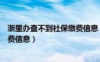 浙里办查不到社保缴费信息（浙里办如何查询自己的社保缴费信息）