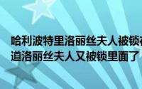 哈利波特里洛丽丝夫人被锁在了哪里（哈利波特魔法觉醒难道洛丽丝夫人又被锁里面了）
