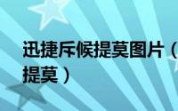 迅捷斥候提莫图片（【兔宝宝】迅捷斥候 - 提莫）