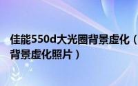 佳能550d大光圈背景虚化（佳能500D单反怎么拍摄小景深背景虚化照片）