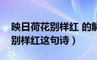 映日荷花别样红 的解释（怎么解释映日荷花别样红这句诗）