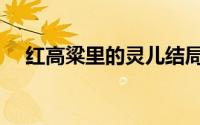 红高粱里的灵儿结局（红高粱里的拤饼）