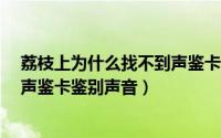 荔枝上为什么找不到声鉴卡了（荔枝FM网络电台怎么使用声鉴卡鉴别声音）