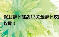 保卫萝卜挑战13关金萝卜攻略图（保卫萝卜挑战13详细过关攻略）