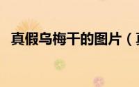 真假乌梅干的图片（真假乌梅干的辨别图）