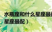 水瓶座和什么星座最配当情侣（水瓶座和什么星座最配）