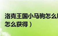 洛克王国小马驹怎么刷出来（洛克王国小马驹怎么获得）